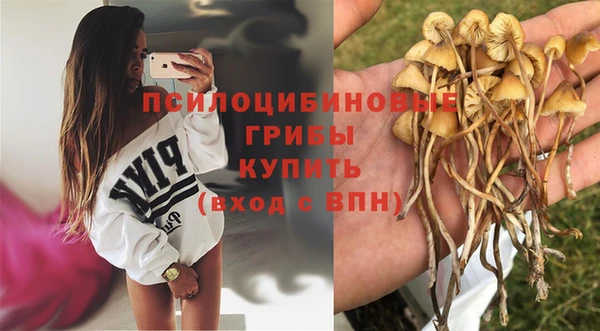 ешки Абинск