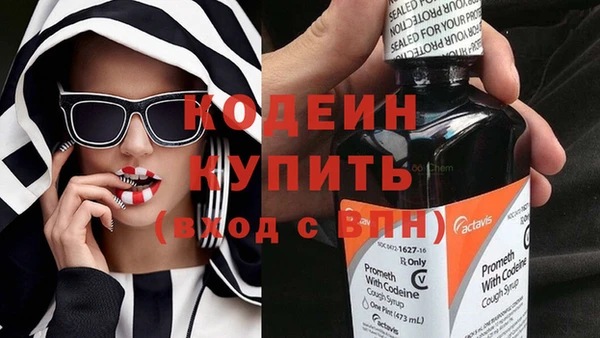 эйфоретик Алзамай